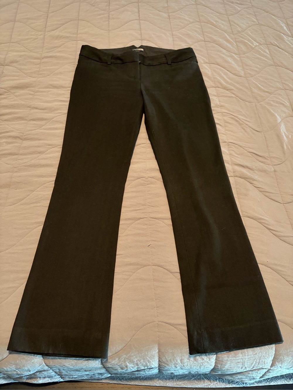 Express Columnist Trouser pants